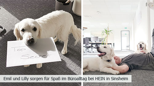 Spaß im Büro mit Lilly und Emil