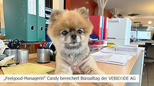 "Feelgood-Managerin" Candy bereichert Büroalltag